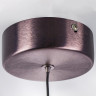 Люстра LIGHTSTAR CARAMELLO 796110 LED 6W 130LM 3000K кофейный/прозрачный