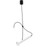 Люстра LIGHTSTAR PALLA 737036 6W LED 561LM 24G 3000K белый