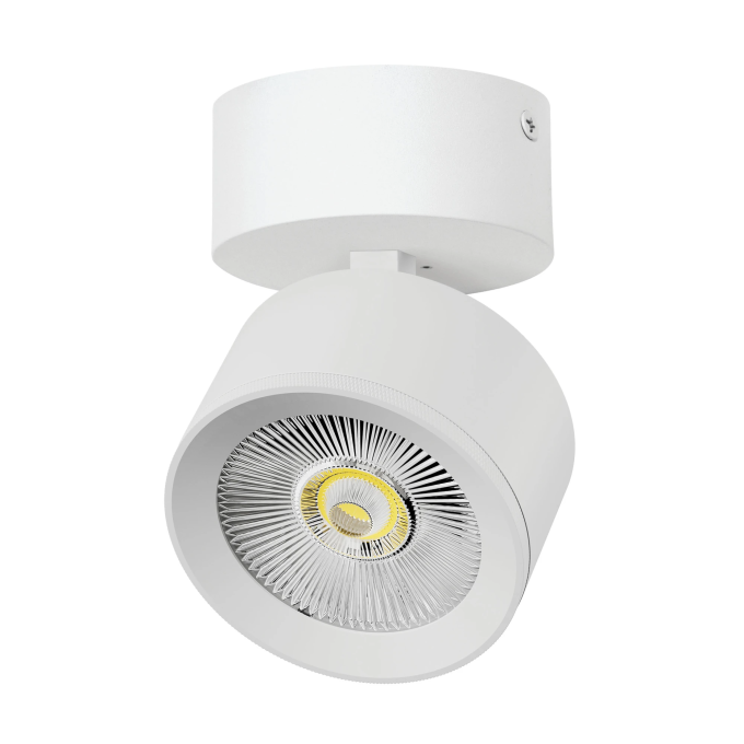 Светильник накладной LIGHTSTAR ALTA PRO A5536SO