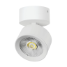 Светильник накладной LIGHTSTAR ALTA PRO A5536SO