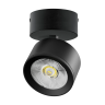 Светильник накладной LIGHTSTAR ALTA PRO A5537SO