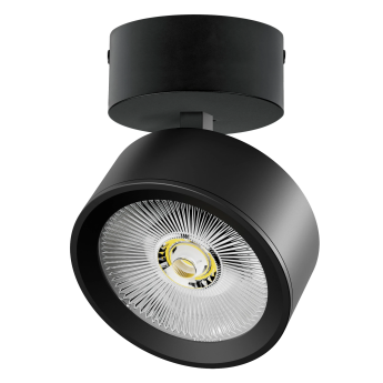 Светильник накладной LIGHTSTAR ALTA PRO A5637SO