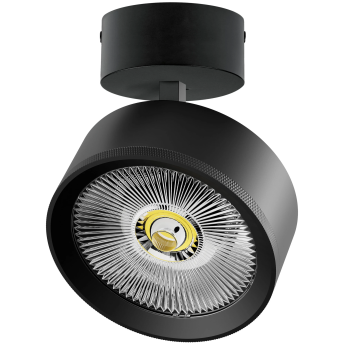 Светильник накладной LIGHTSTAR ALTA PRO A5737SO