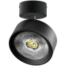 Светильник накладной LIGHTSTAR ALTA PRO A5737SO