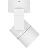 Светильник накладной LIGHTSTAR Illumo L1 51046